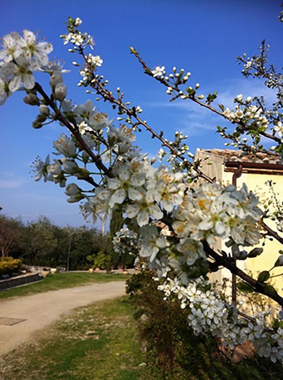 Agriturismo Frangivento Casa Giosafat Exterior foto